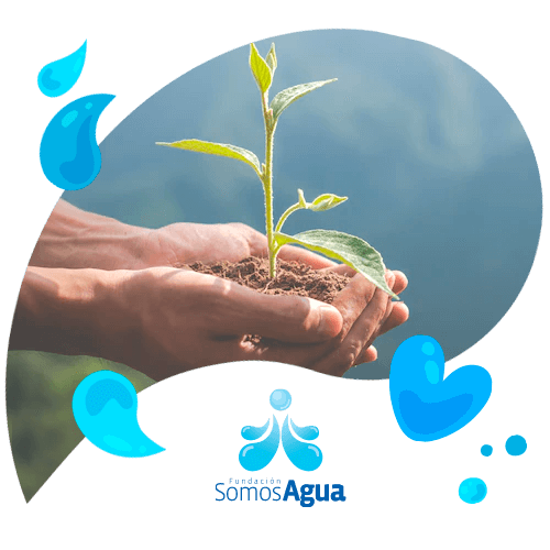 Donaciones Somos Agua
