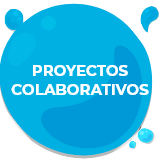 Proyectos